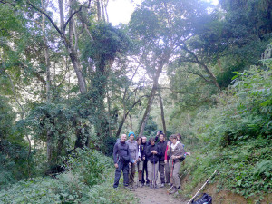 Gruppe im Wald zur heißen Quelle