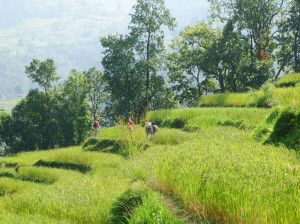 12a Wandern auf Terrassenfelder