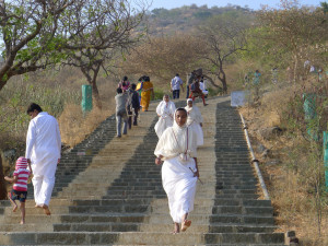 _20 Pilger auf Palitana